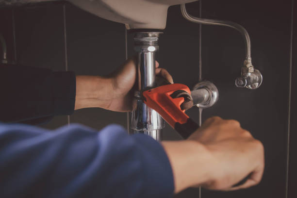 Best Commercial Plumbing Services  in Wray, CO